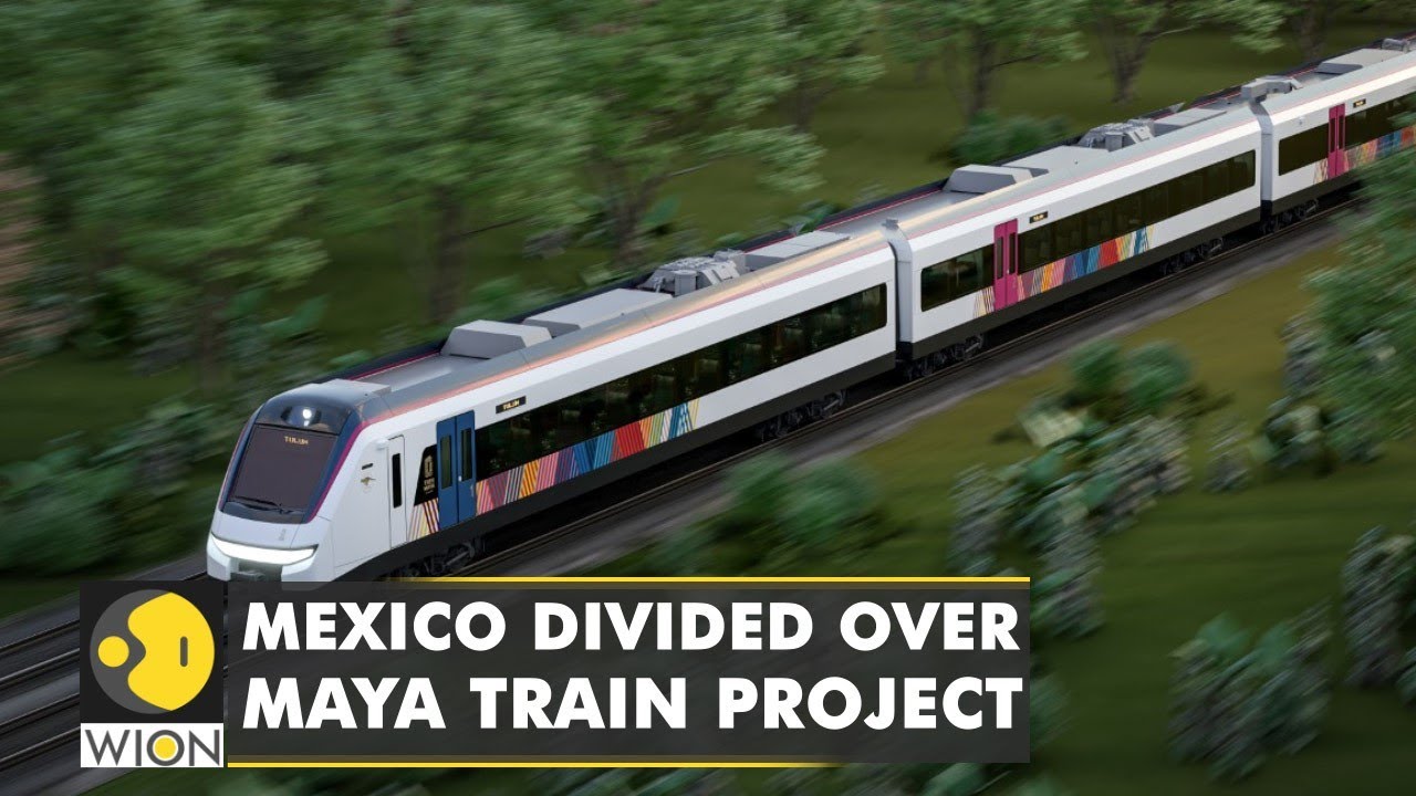 Activists protest against 'Ecocide' | Maya train will run through a forest in Mexico | English News