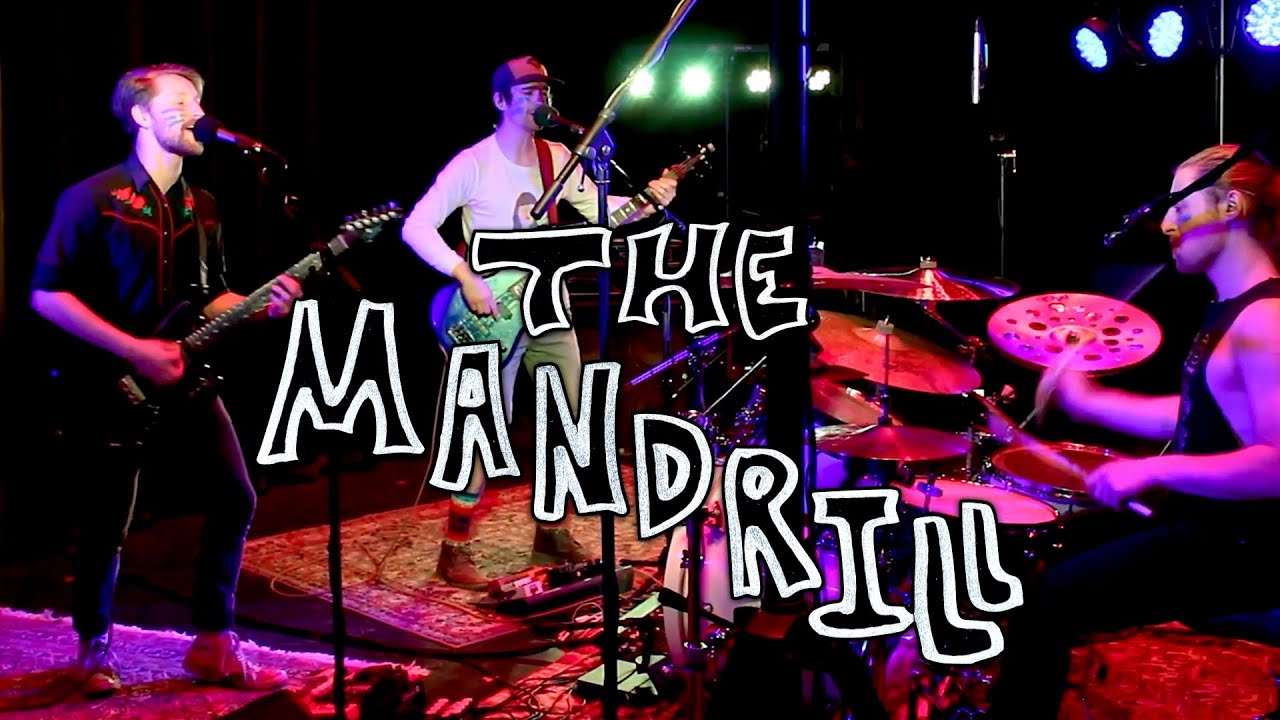 Coquette - NOAUDIENCE: The Mandrill