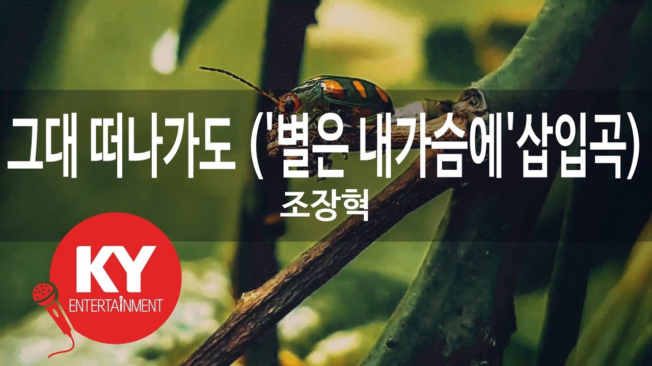 [KY ENTERTAINMENT] 그대 떠나가도 ('별은 내가슴에'삽입곡) - 조장혁 (KY.4928) / KY Karaoke