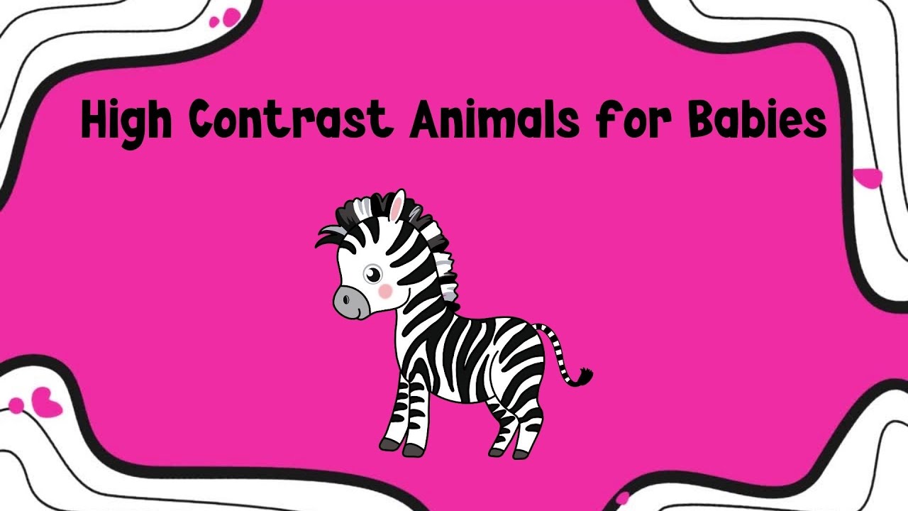 High Contrast Animals for Babies: Relaxing Classical Music