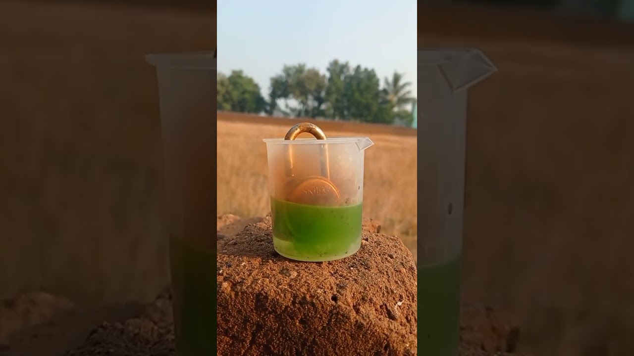 Most dangerous experiment 🧪| Nitric Acid  | #video #viral #Thehackerpro #shorts #science