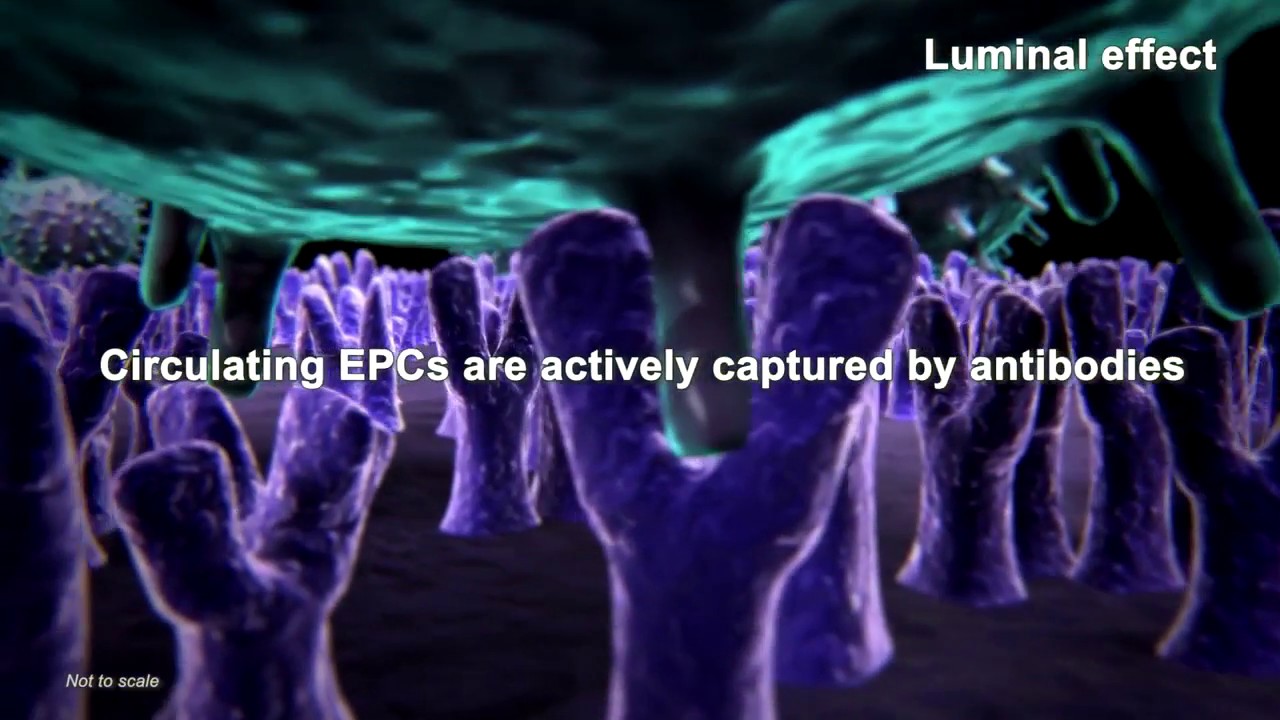 COMBO Plus Dual therapy Stent