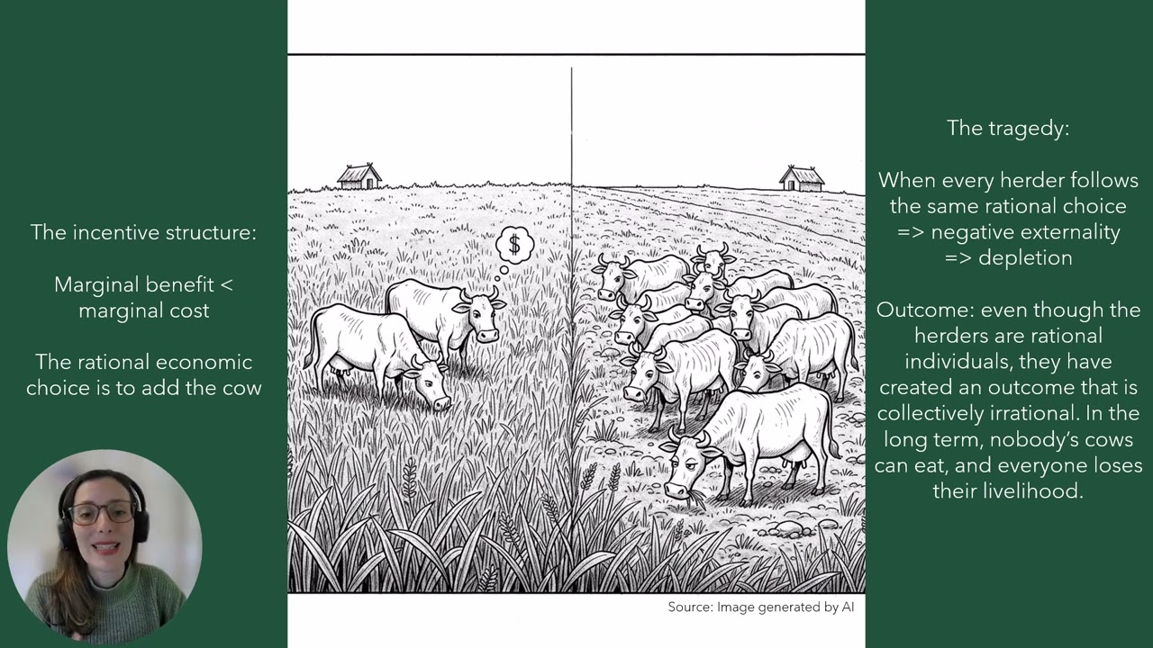 Common Resources and the Tragedy of the Commons