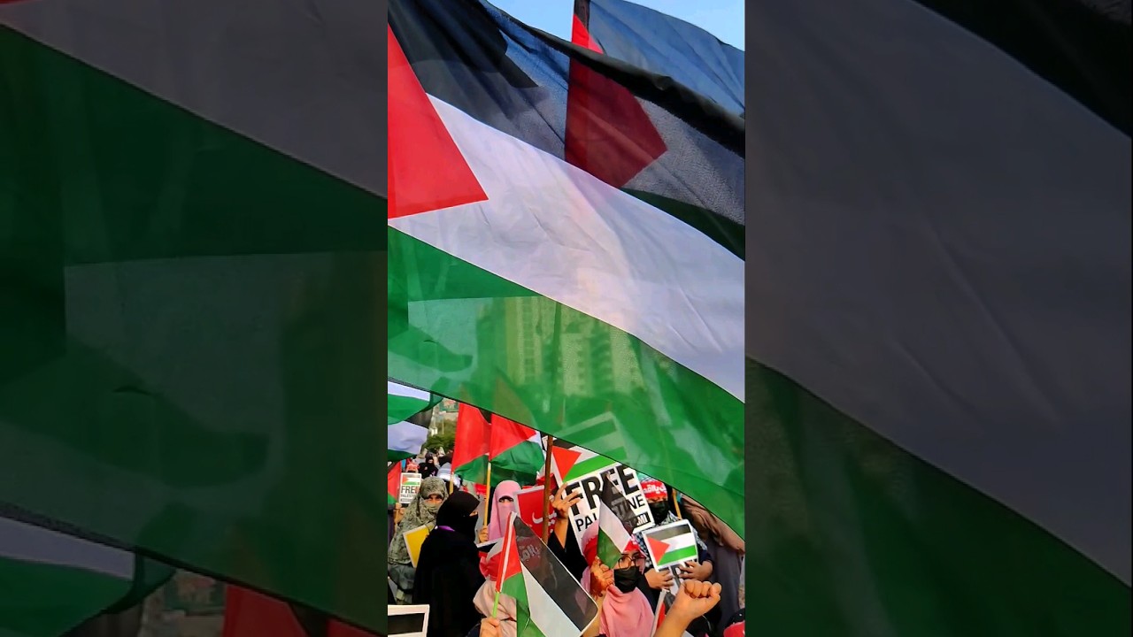 Palestinian students show solidarity with Palestine during rally in Karachi #shot #video #viral