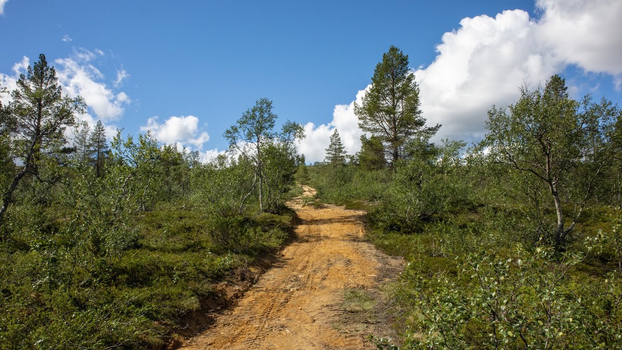 Mountain biking in Saariselkä area in Inari, Finland
