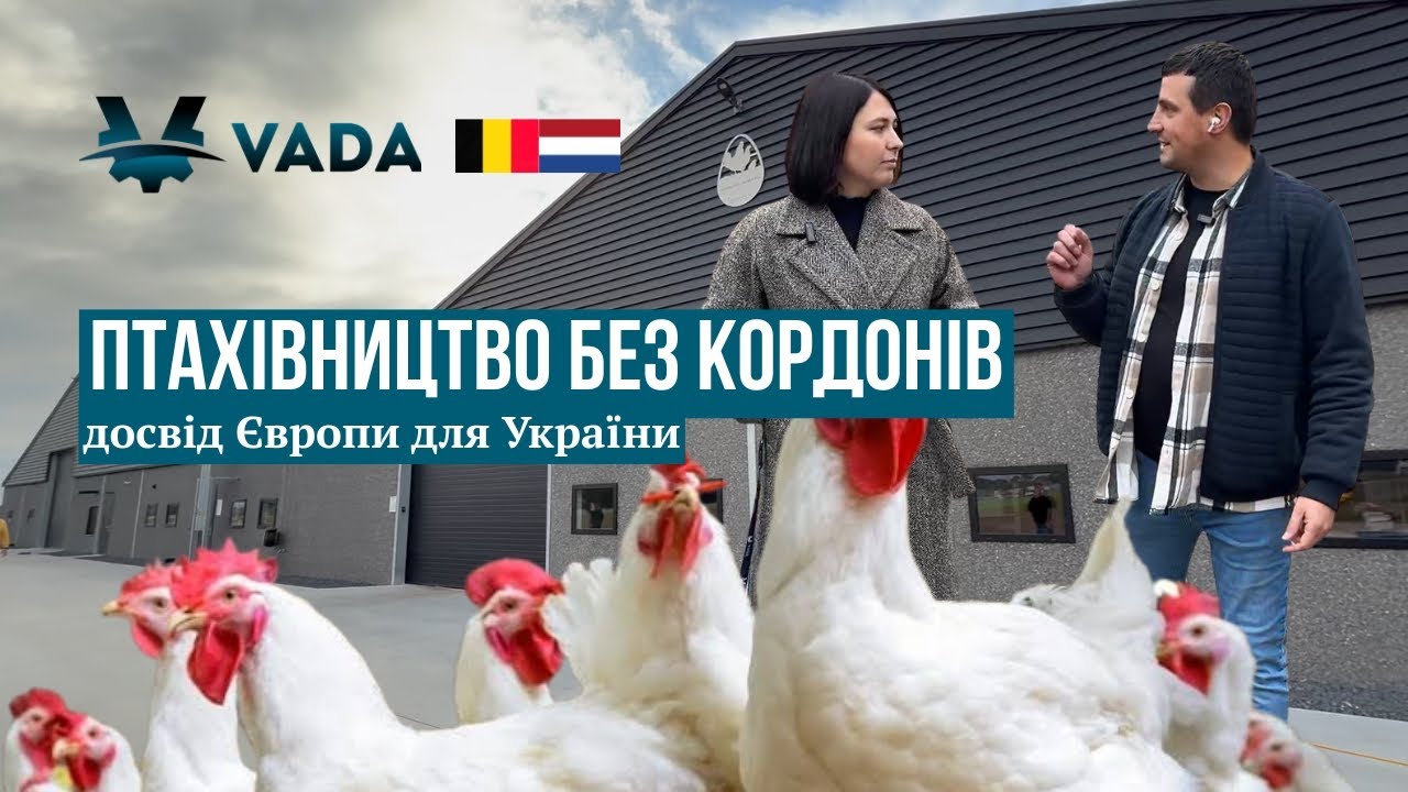 Птахівництво без кордонів: досвід Європи для України