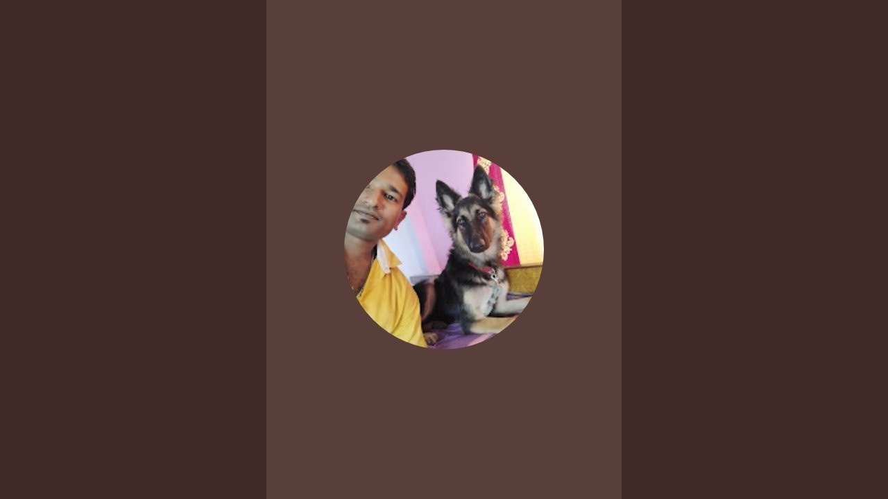 Pets lover  is live