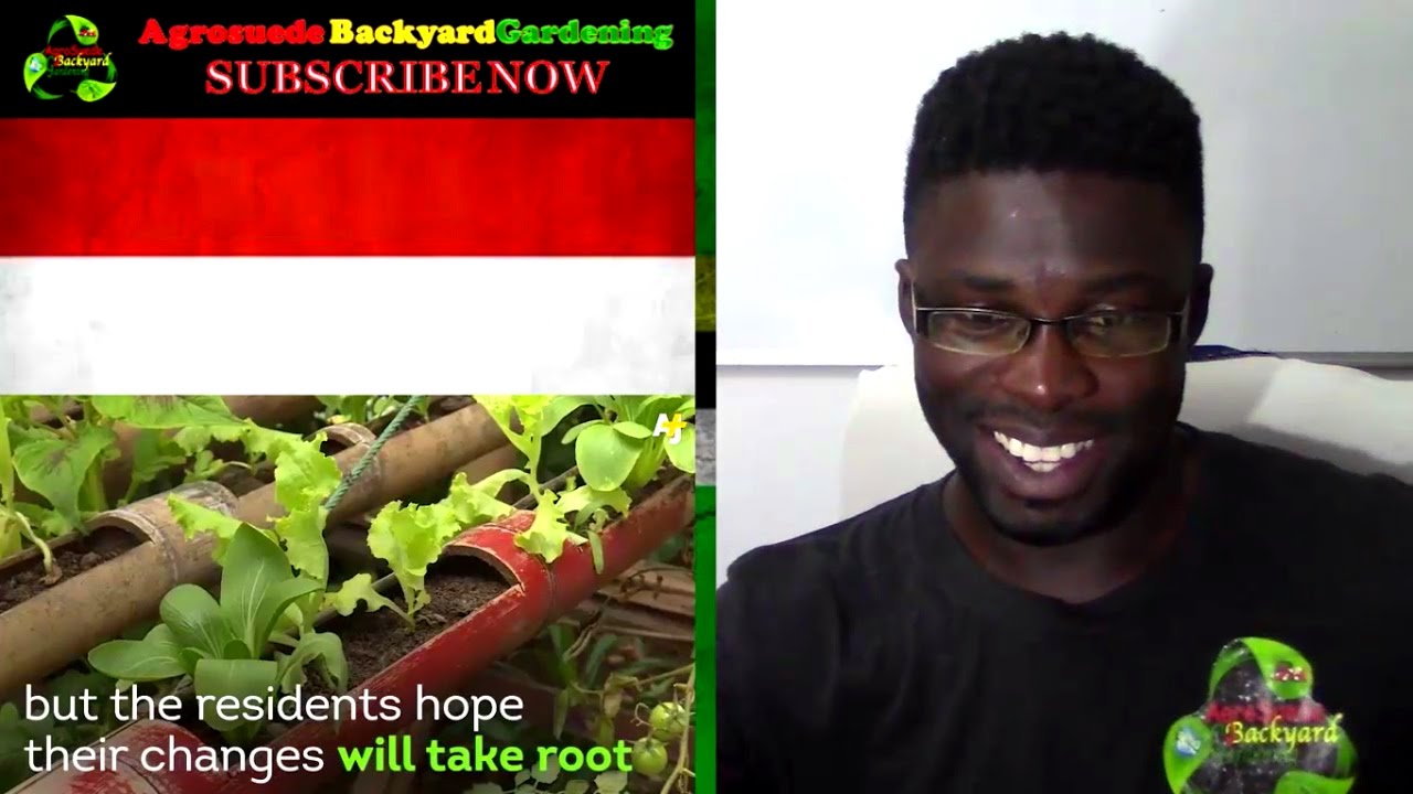 Jakarta Community Goes Green to Fight Eviction || Agrosuede ✔