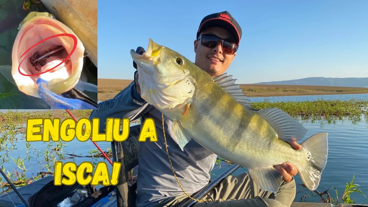 ONDE MENOS SE ESPERA, ELE TAVA L&Aacute;! Pescaria de tucunar&eacute; no Lago De Furnas.