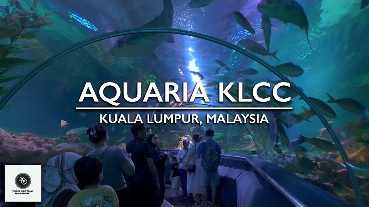 Walking Tour at the Largest Indoor Aquarium in Kuala Lumpur! AQUARIA KLCC | Malaysia 2024