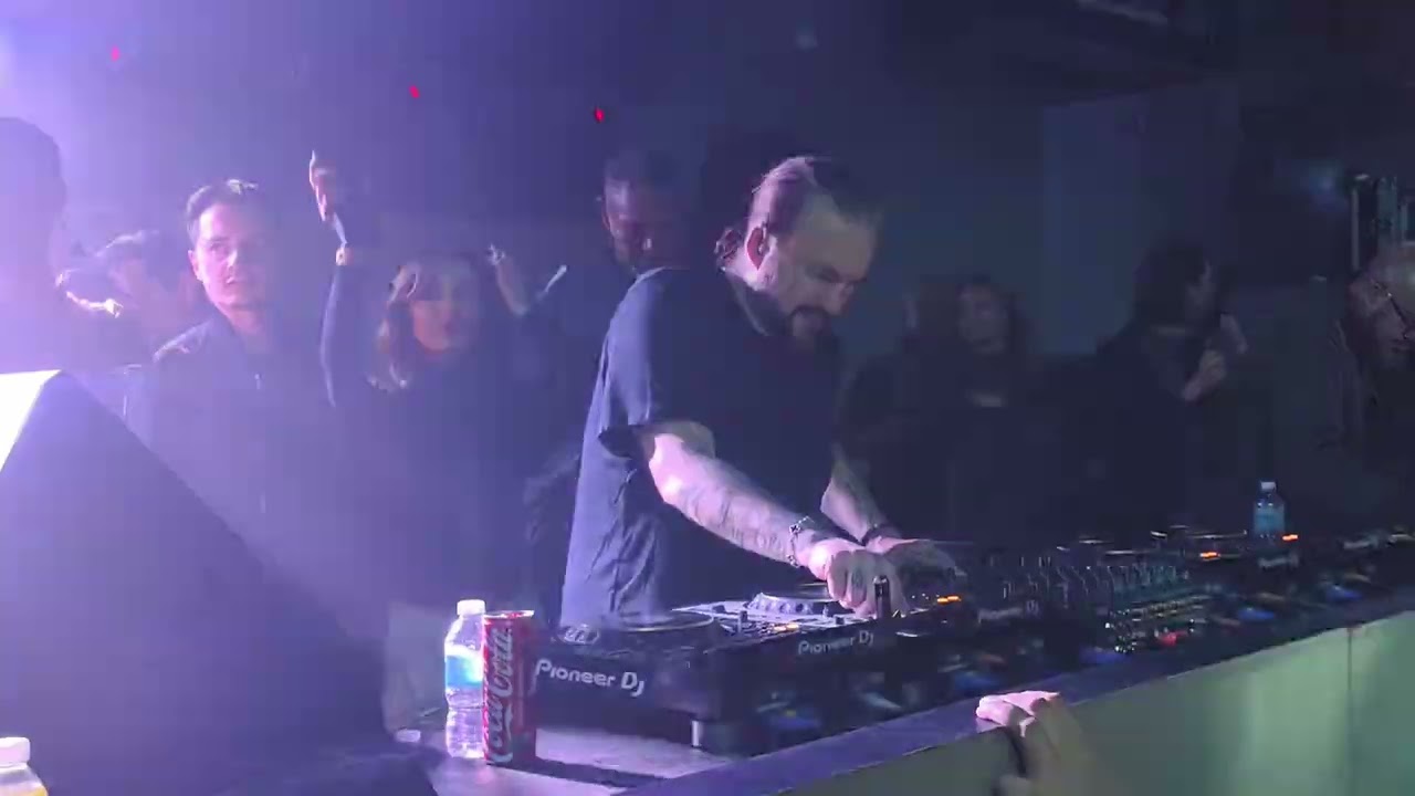 Steve Angello Looloo