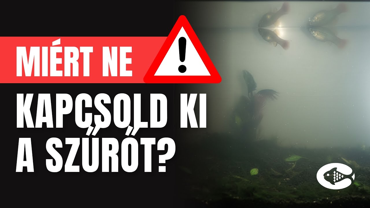 A szűrőnek 0–24-ben mennie kell? Igen – és elmondjuk miért