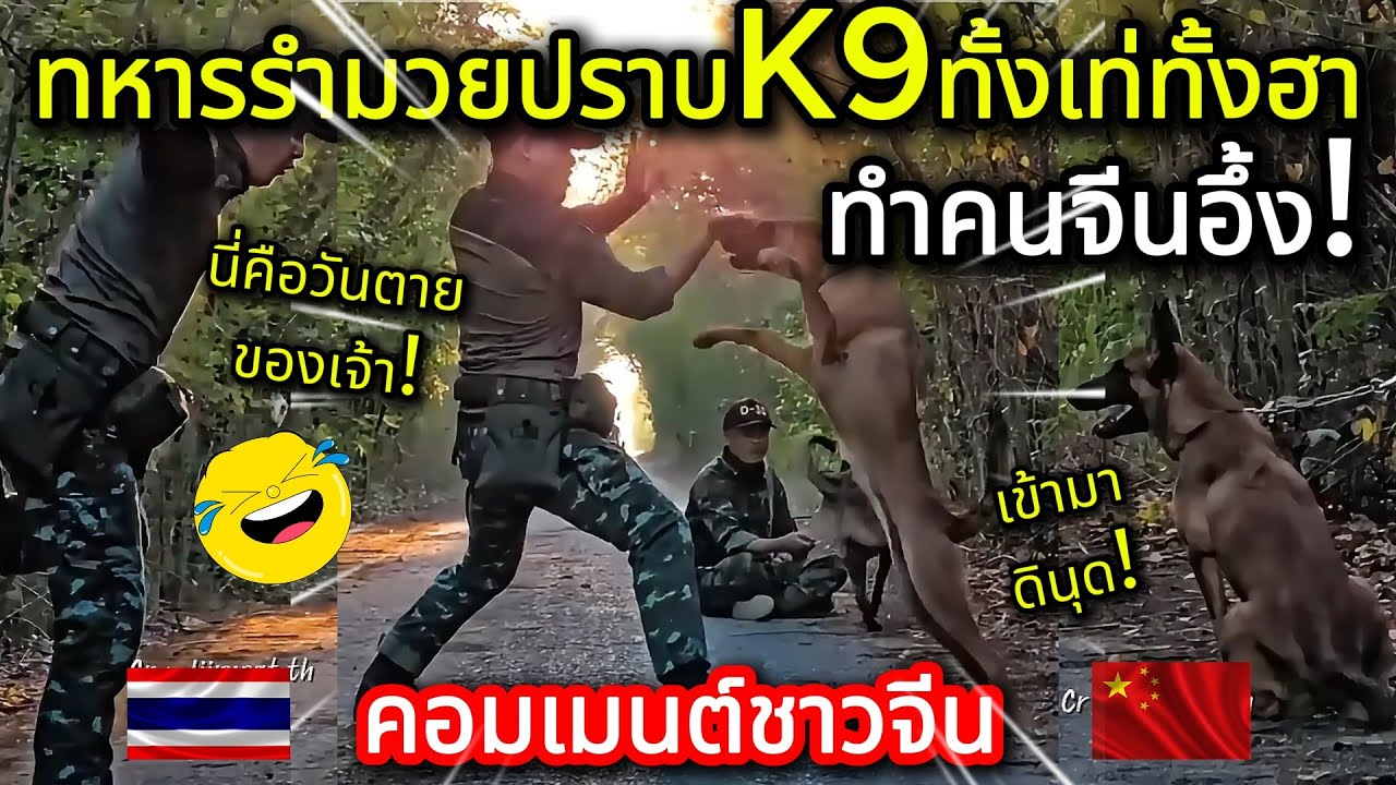 จีนตะลึง! ทหารรำมวยปราบK9ทั้งเท่ทั้งฮา โชว์วัฒนธรรมแบบที่ไม่มีชาติไหนทำ! คอมเมนต์ชาวจีน