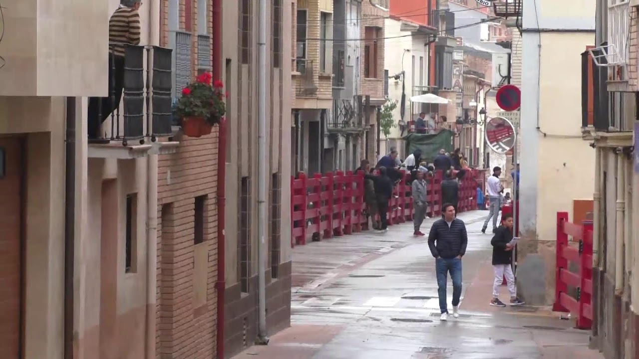Villafranca, Encierro matinal Ganader&iacute;a Bretos Fern&aacute;ndez, 17-10-21