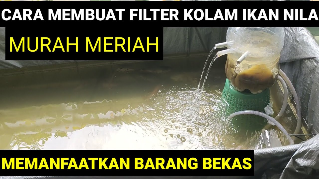 MURAH MERIAH!!! CARA MUDAH MEMBUAT FILTER KOLAM IKAN NILA