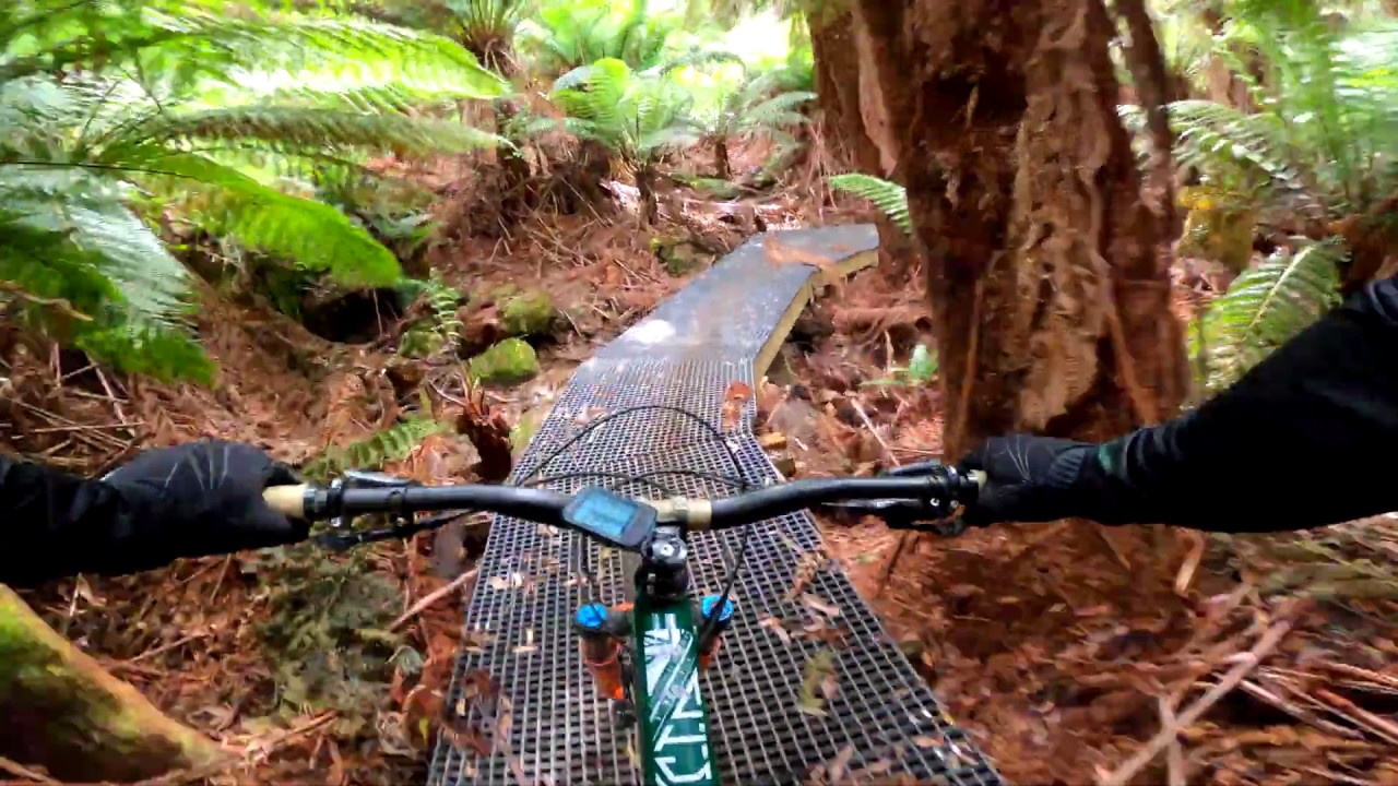 Blue Tier to St Helens trail Derby (Blue Tier full descent)