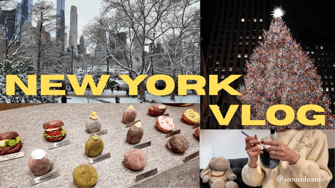 【NYC Vlog】真冬のNY 家系ラーメンで温まる日｜NY駐在妻