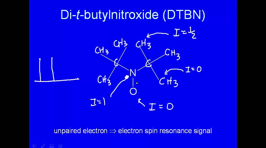 Di-t-butylnitroxide (DTBN)