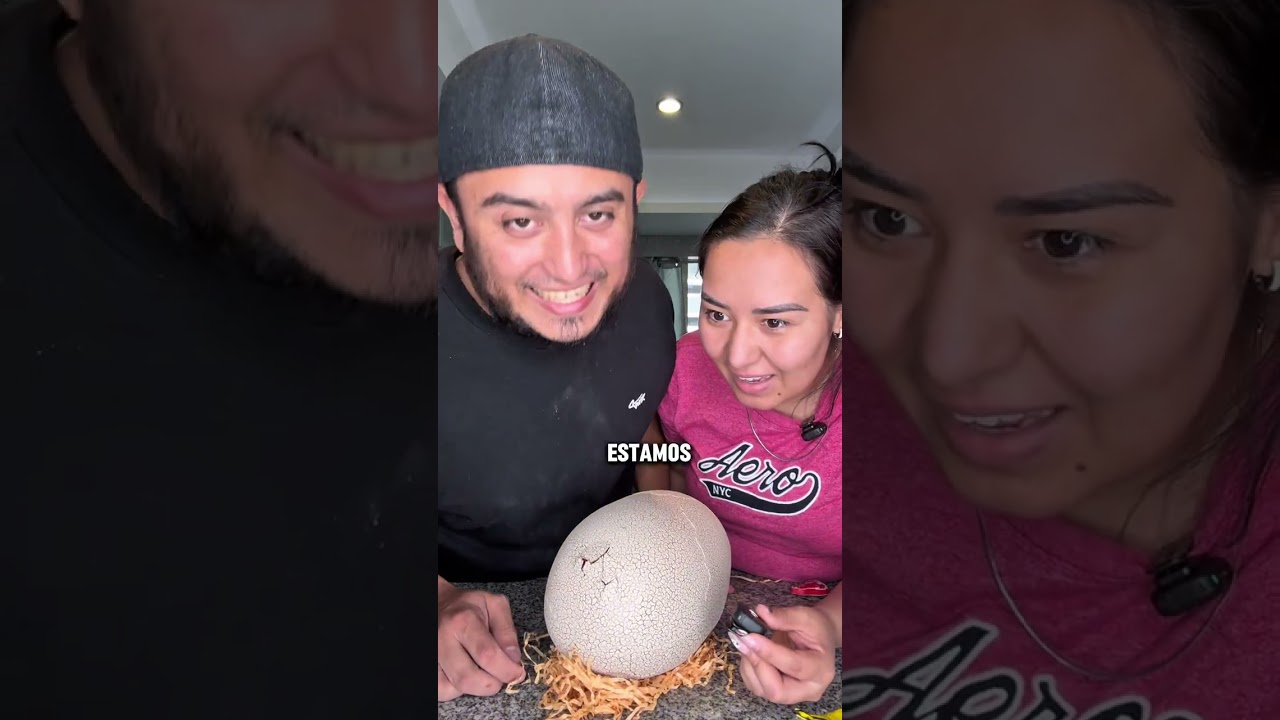 abriendo el huevo sorpresa mas caro  #humor #brommas #comedia #pareja