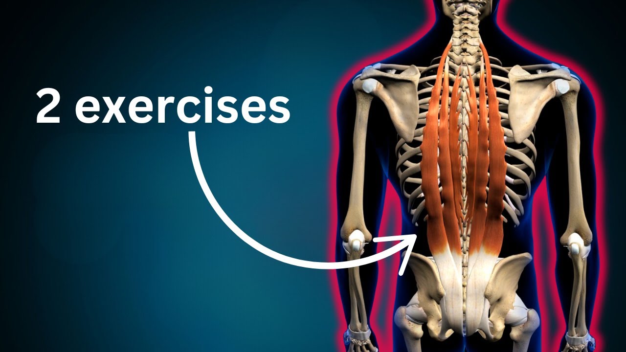 Don't Ignore These Back Muscles