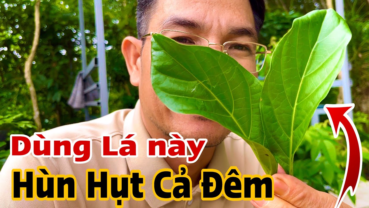 Hùn Hụt cả đêm khi dùng món ăn này. PHAN HẢI Channel