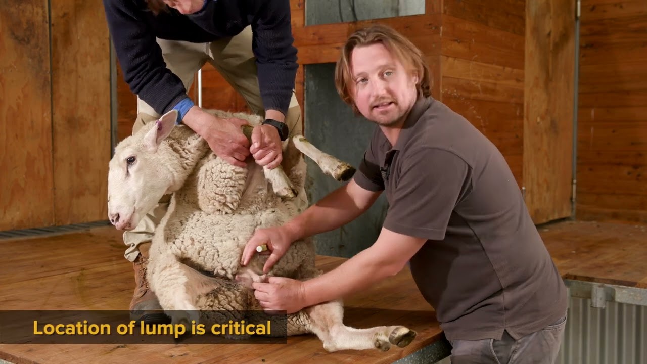 Fit to Join udder assessment