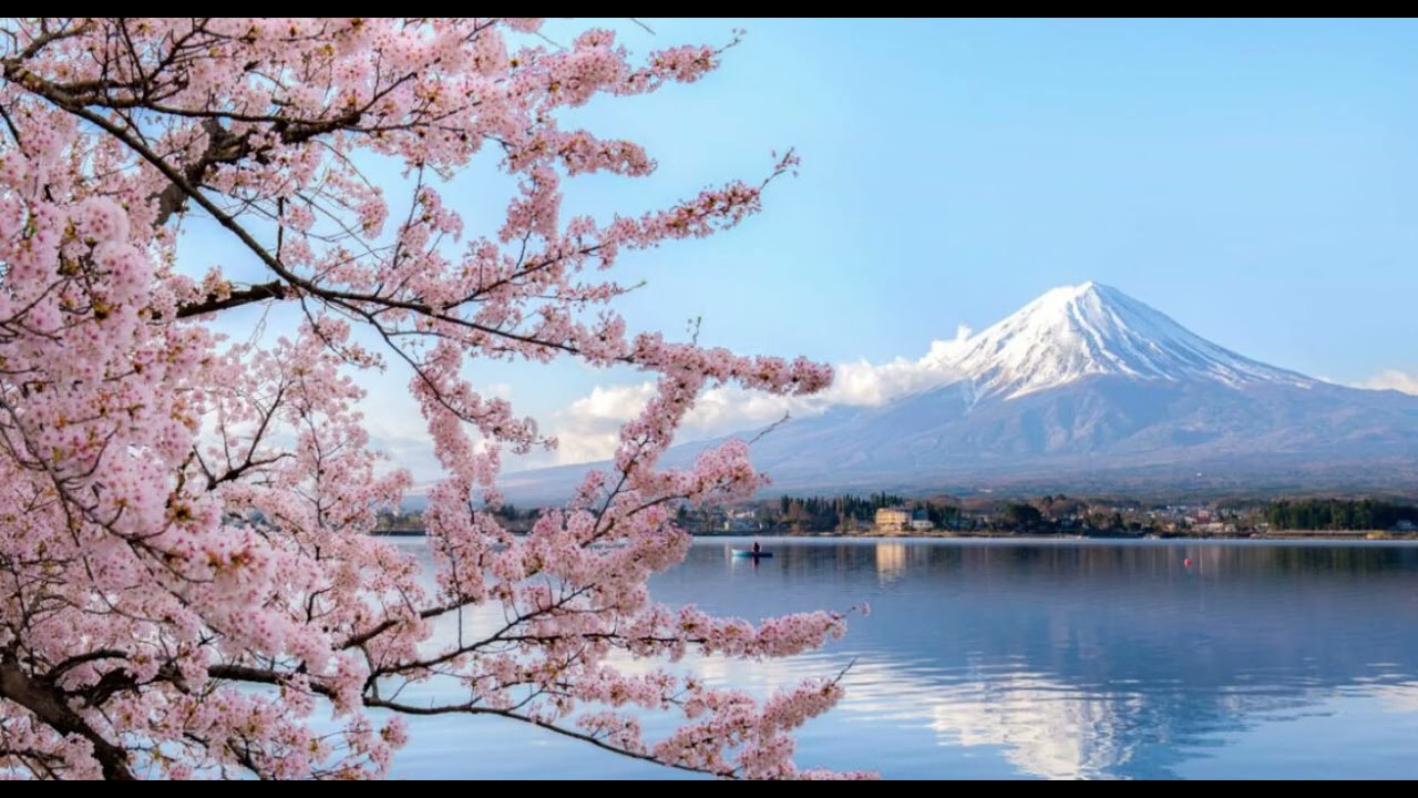 Frases em Japonês