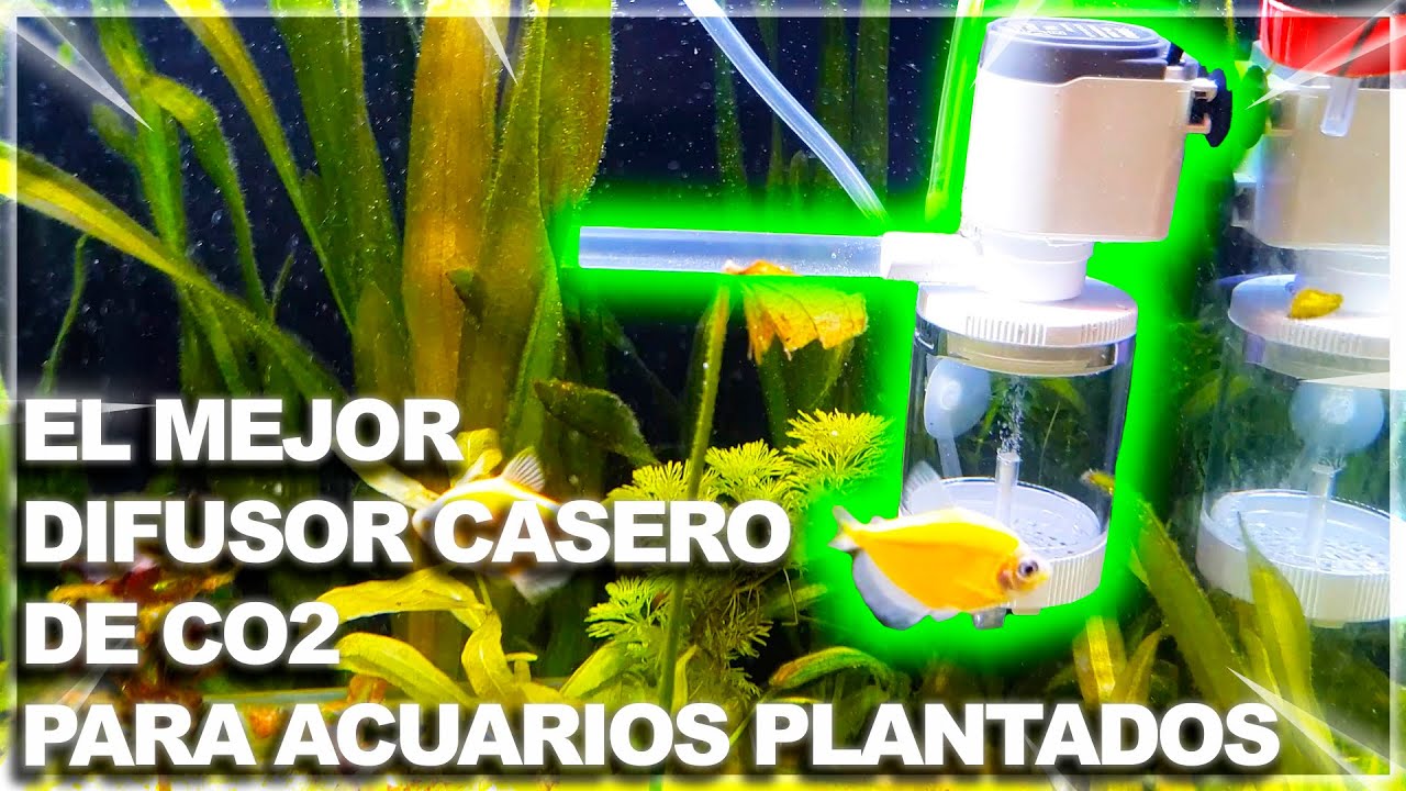 EL MEJOR DIFUSOR DE CO2 CASERO PARA ACUARIOS PLANTADOS | CON MICROBURBUJAS | CO2 CASERO PARTE 5
