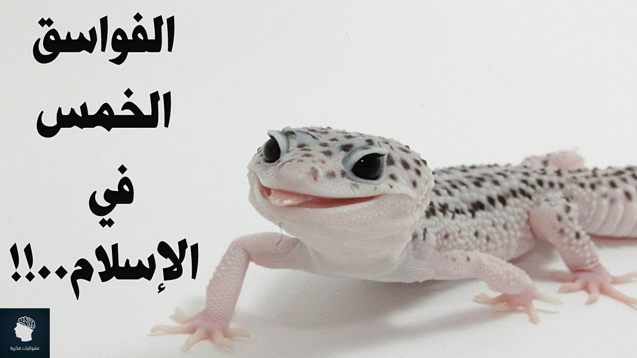 5 حيوانات امرنا الإسلام من التخلص منها مباشرة عند رؤيتها