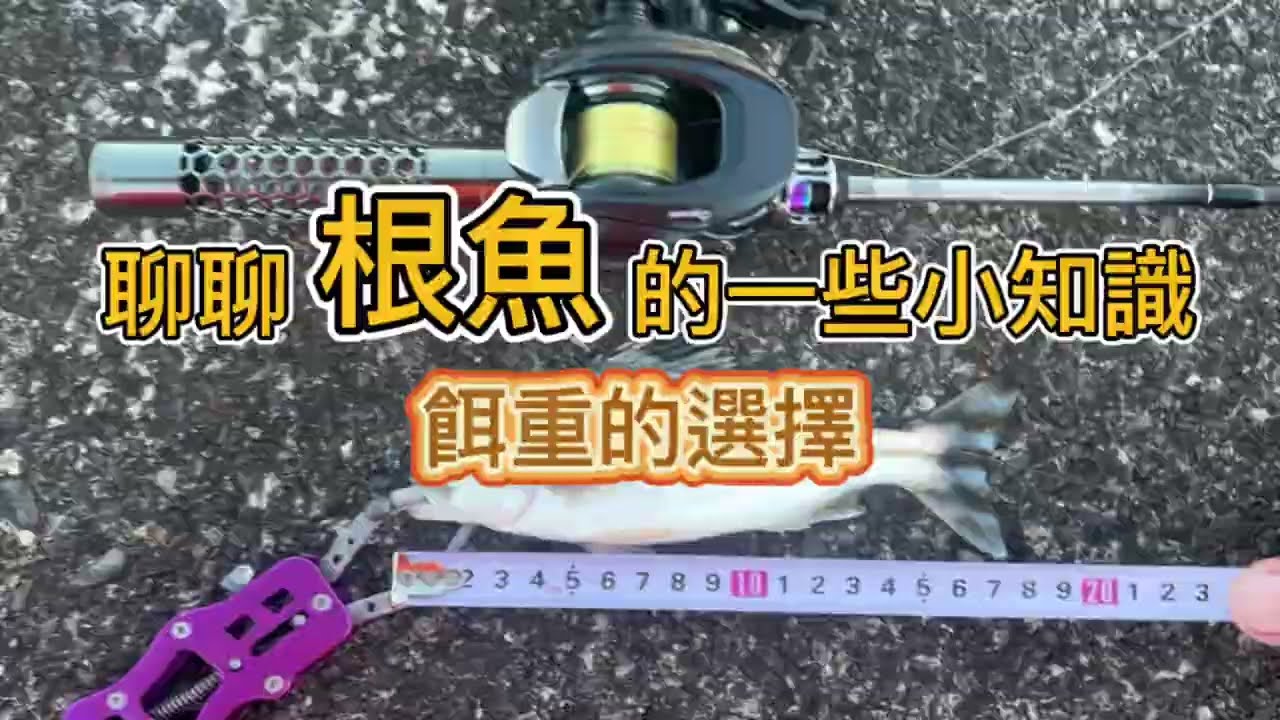 根魚小知識-餌重