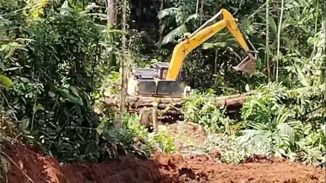 Ekskavator Masuk Hutan Membuat Jalan Baru