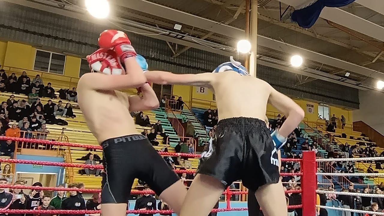 RING 2: Dębicka Liga Kickboxingu (01/02/2025)