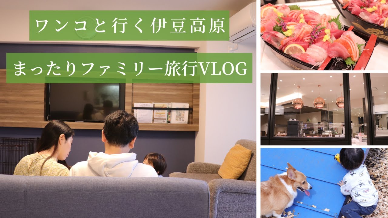 《前編》夕食の舟盛りに感動！愛犬と行く伊豆高原🌲まったり家族旅行vlog【ヴィラージュ伊豆高原】
