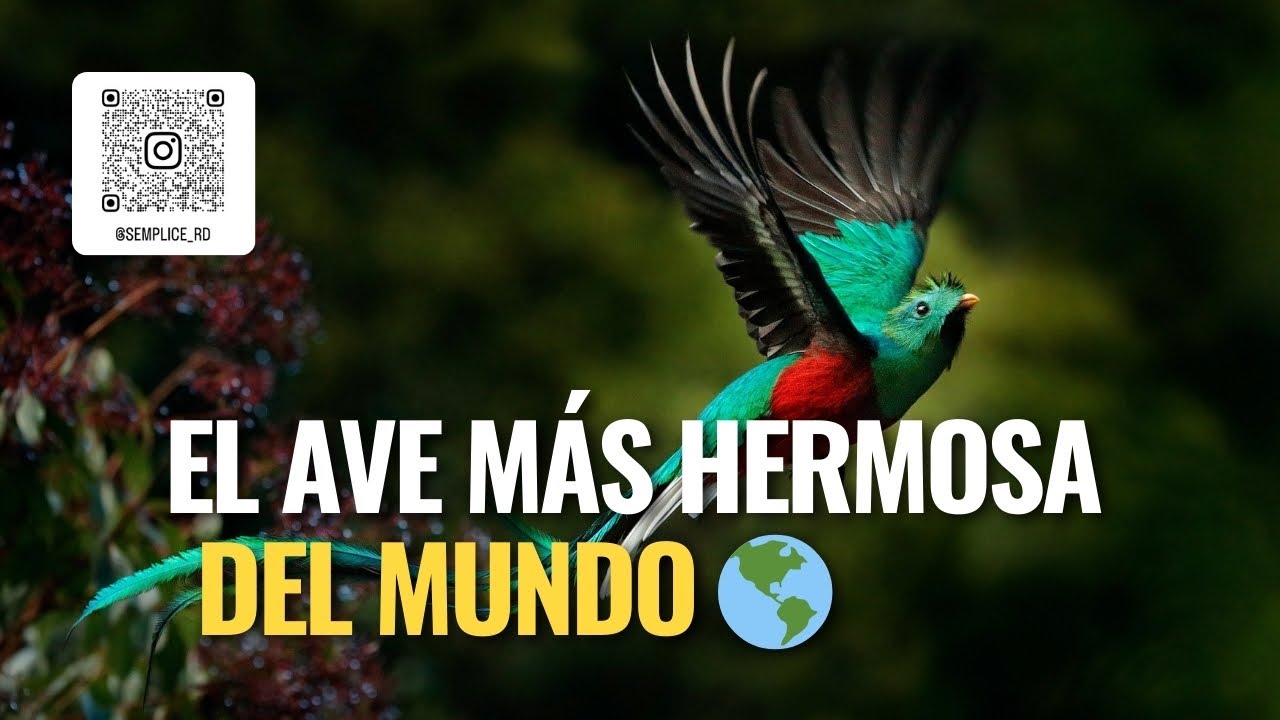 El Ave Sagrada que Brilla como una Esmeralda Viva