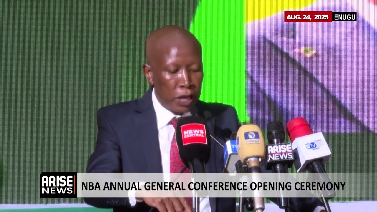 NBA Annual General Conference: Xenophobia is a Betrayal of African Unity - Malema