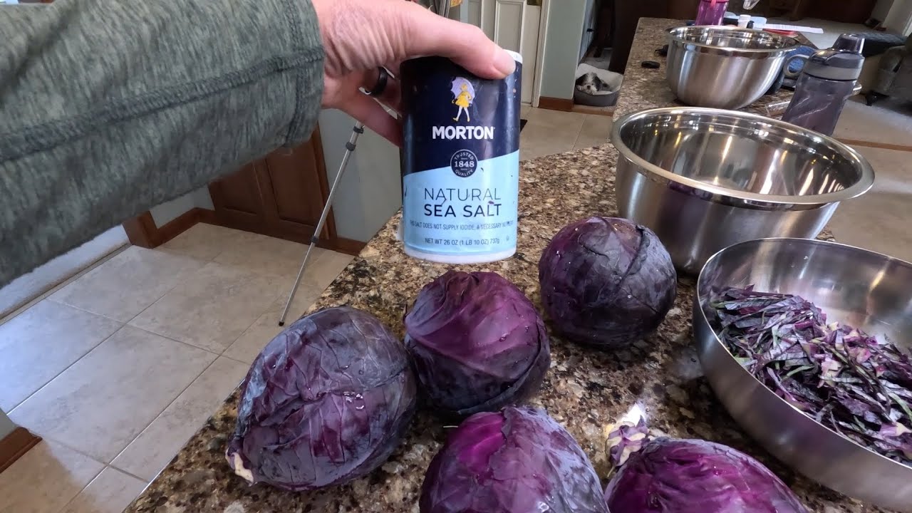 Making purple sauerkraut with a stoneware crock. #fermentation #sauerkraut #stoneware crock 