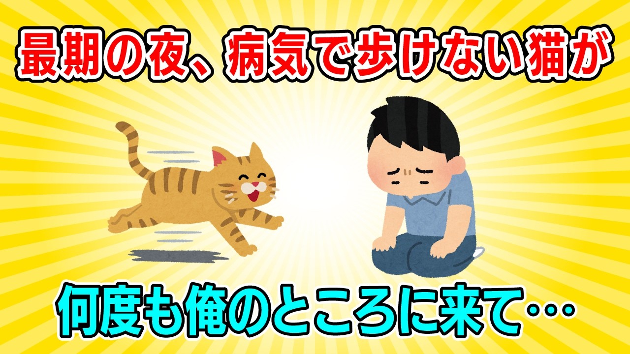 【2ch】最期の夜、歩けないはずの猫が布団に来て⋯