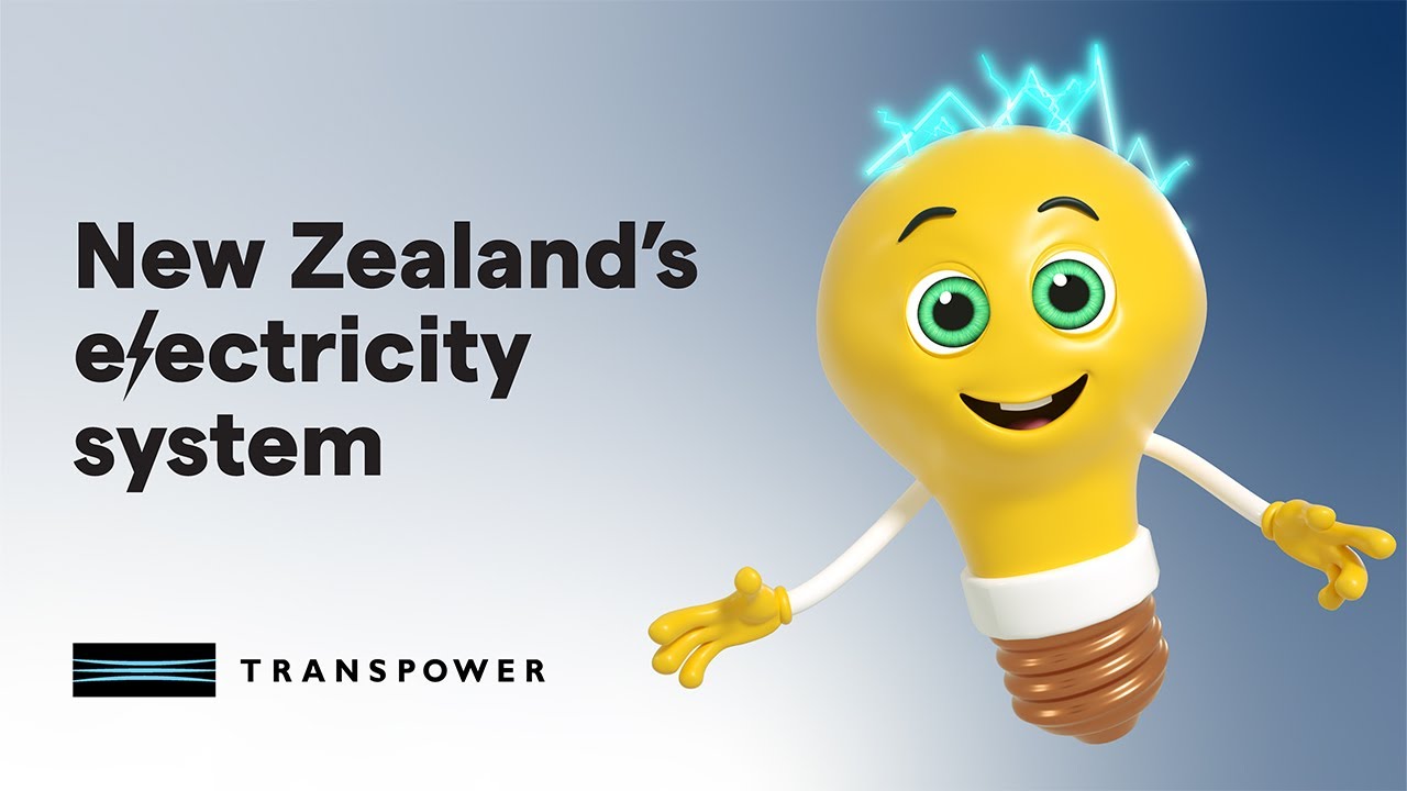 New Zealand&rsquo;s electricity system