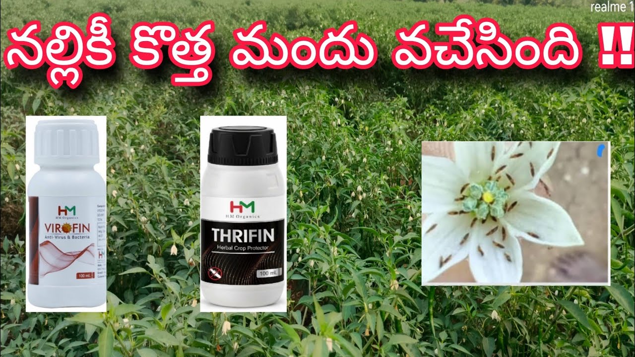 #నల్లి కి కొత్త మందు వచేసింది !! #రైతన్నల కోసం    #