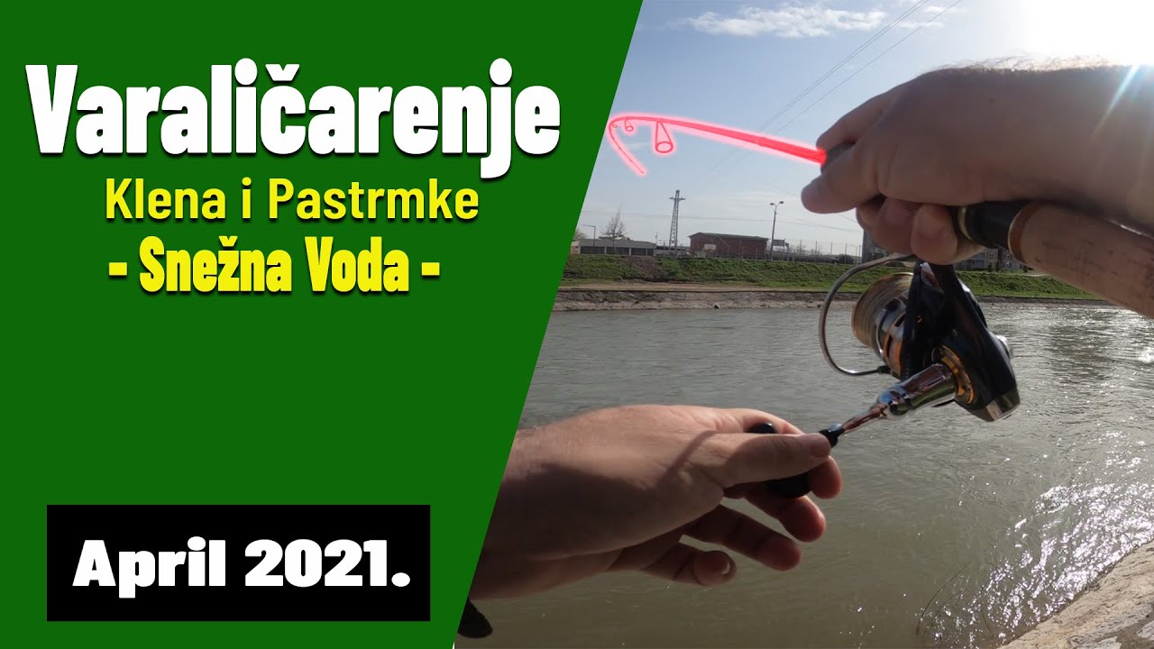 Varaličarenje Klena i Pastrmke Početkom Aprila - Snežne Vode