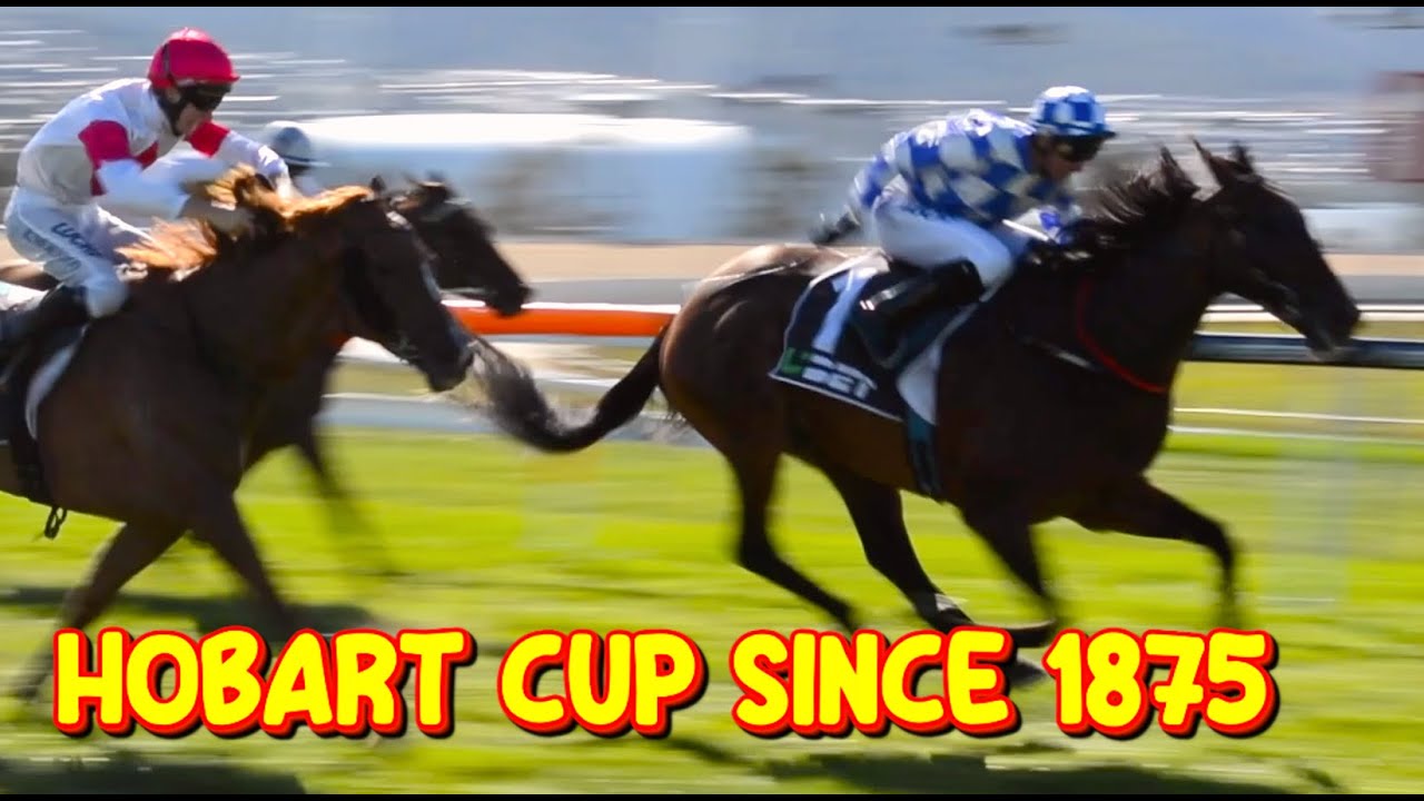 Hobart Cup 🇦🇺 | Race Day Atmosphere & Trackside Moments (Montage)