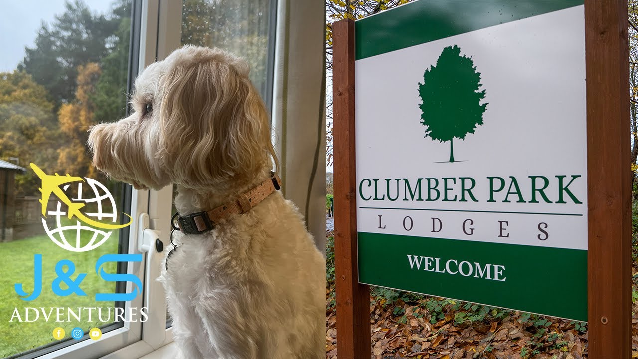 A Pet Friendly Stay At Clumber Park Lodges with Our Dog | Pet-Friendly Lodging & Nature Escapes |