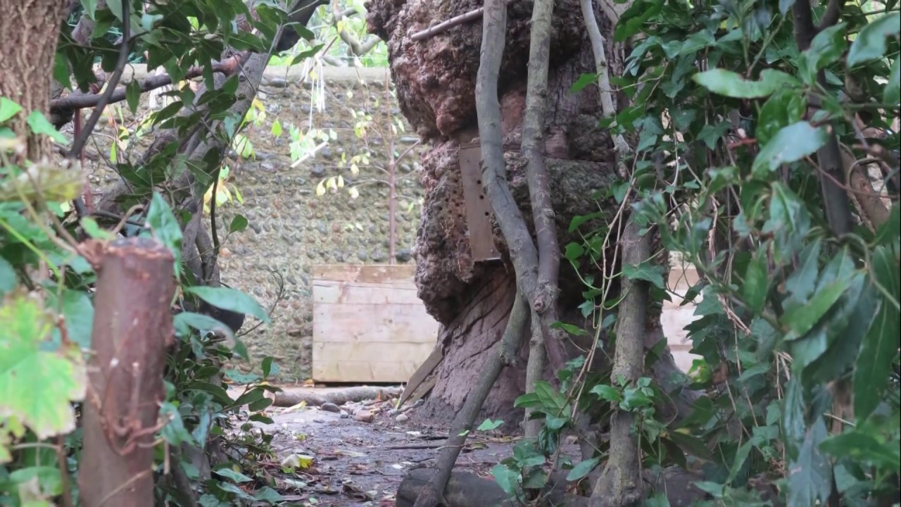 Reflections Nursery - Fostering creativity in a Reggio-inspired forest school