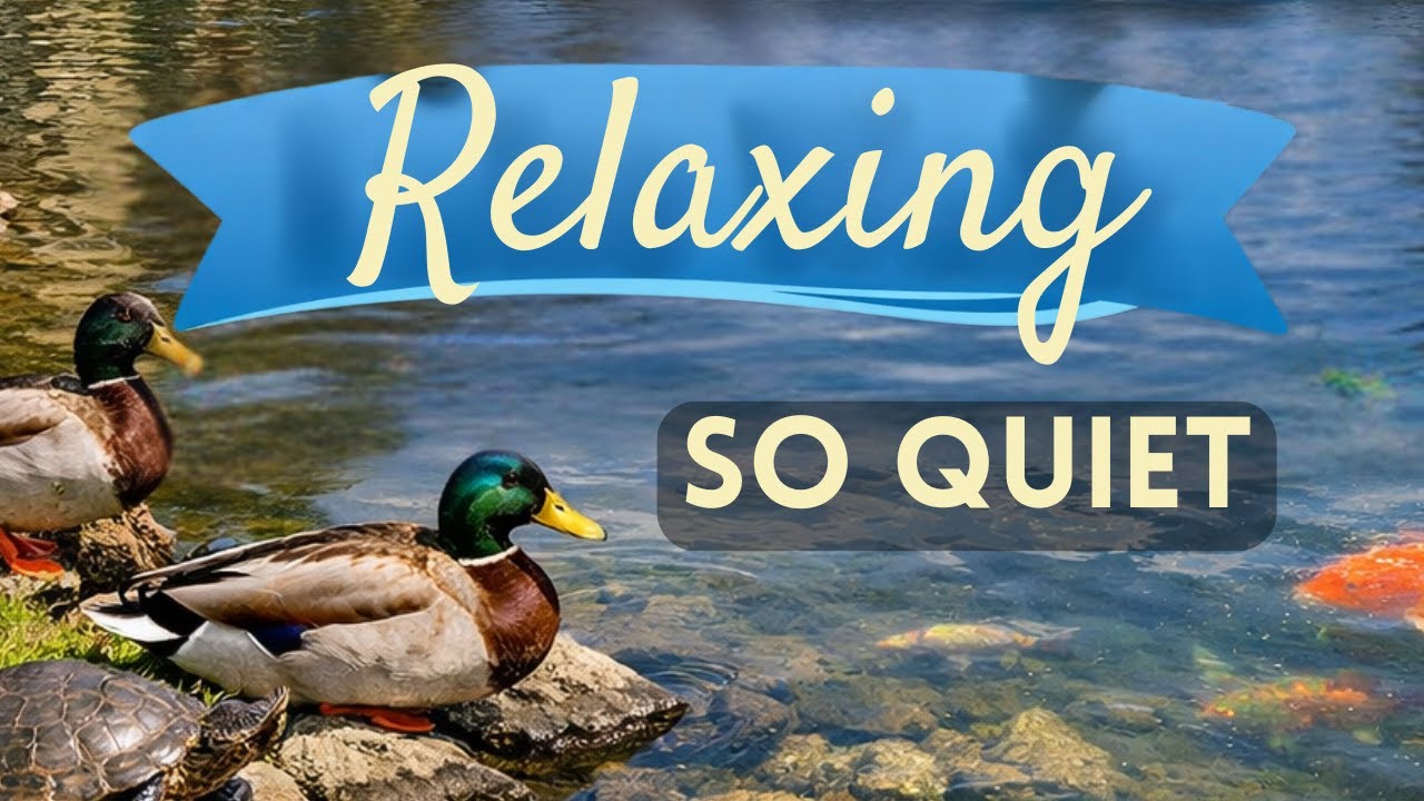 This Disney Area Resort Lake Is Shockingly Peaceful 🦆🐢 | Relaxing Walk