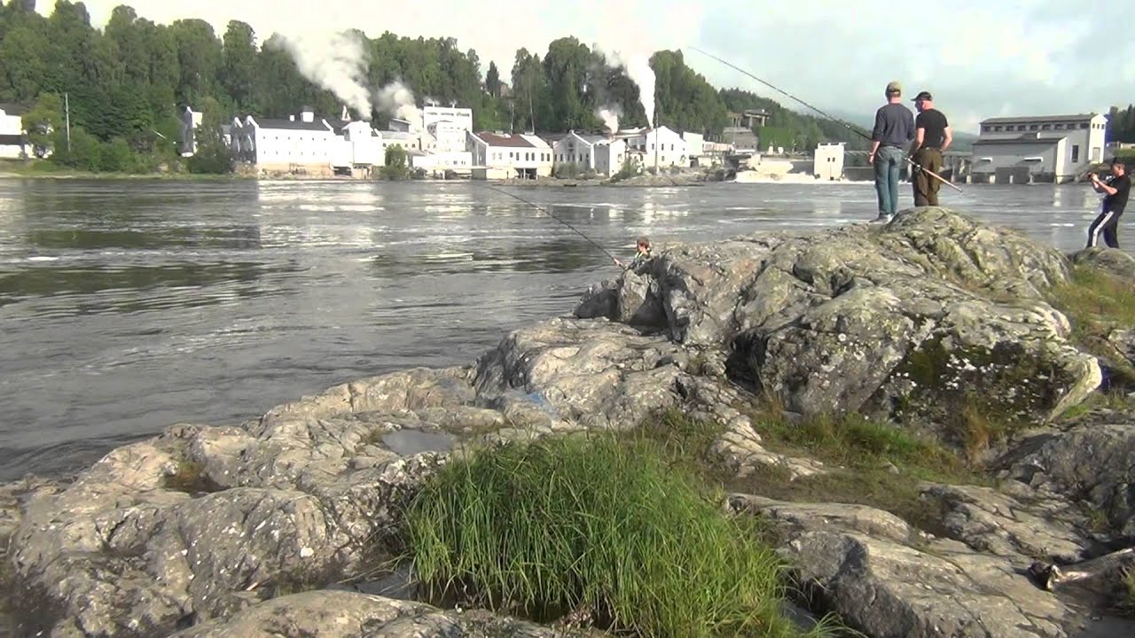 stor laks mistet på langskjæret