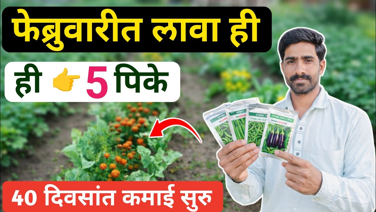 फेब्रुवारीत लावा ही 5 पिके 🌱 | 40 दिवसांत कमाई सुरू 💰 | कमी खर्चात जास्त नफा | February march pike