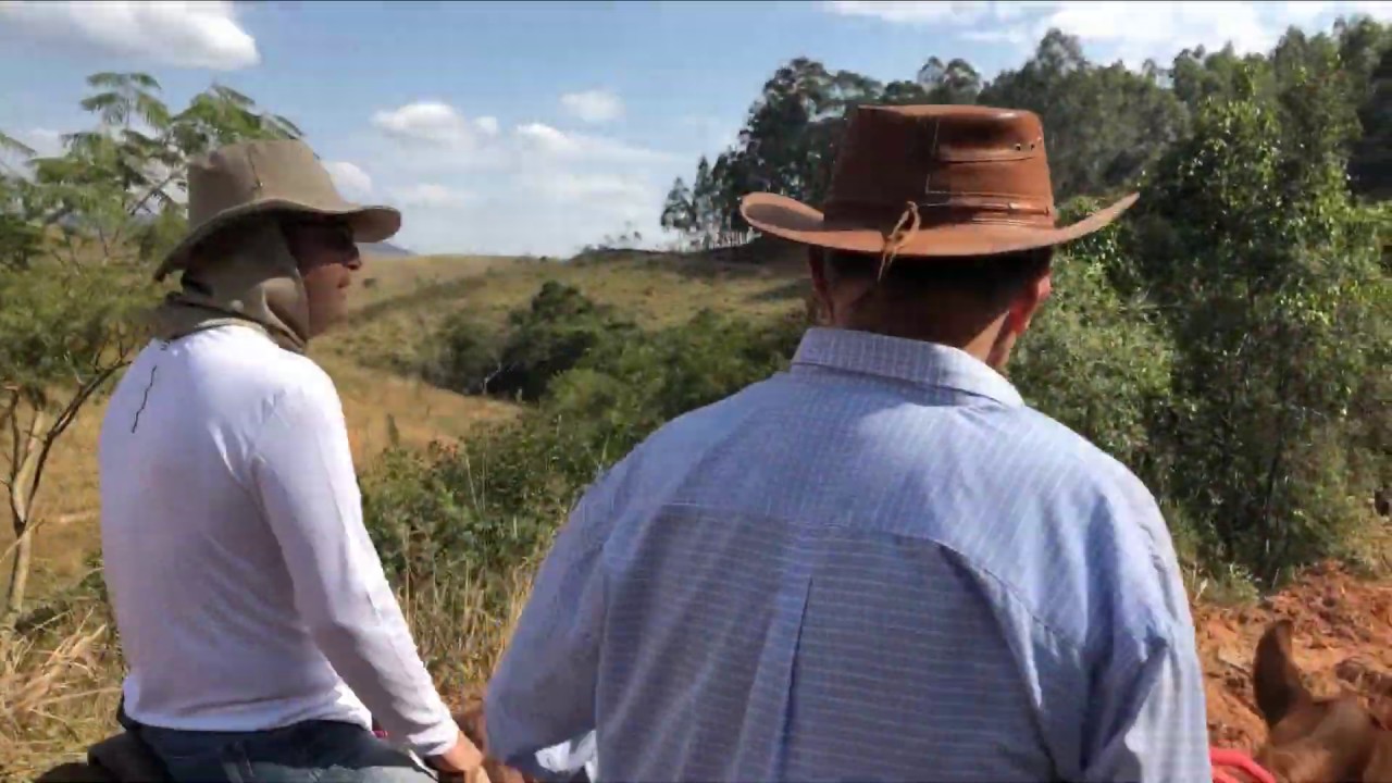 HARAS S&Atilde;O BENEDITO PASSEIO PIRACAIA