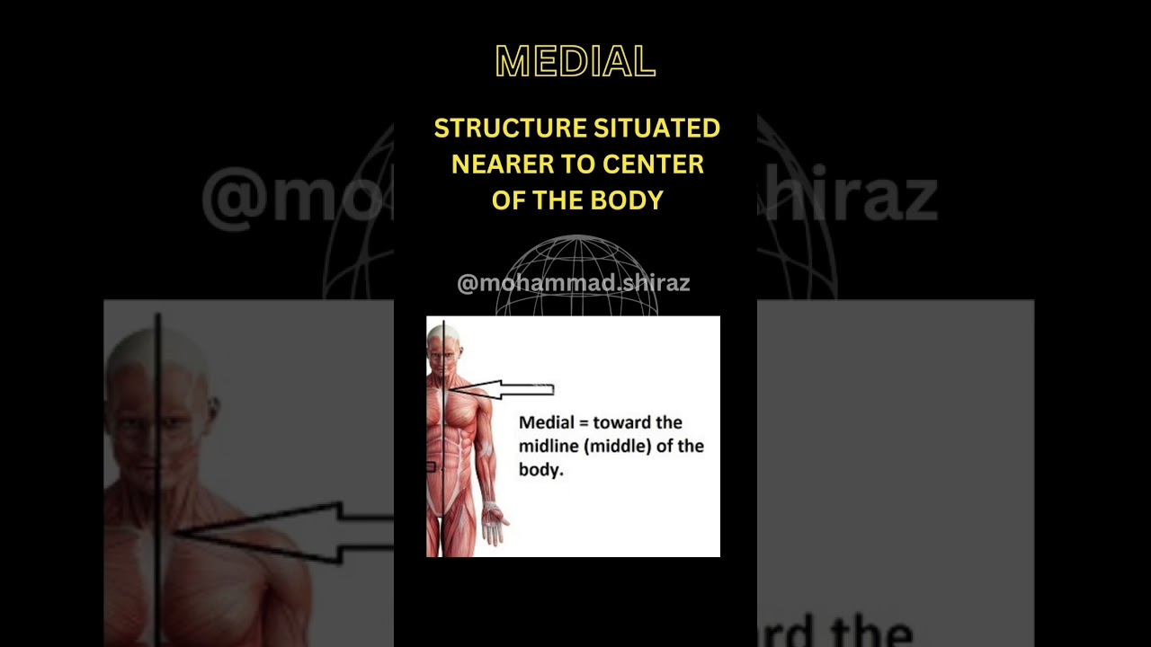 Anatomy Directional Terms #anatomy #skeletal #humananatomy #health #fun #medicallectures