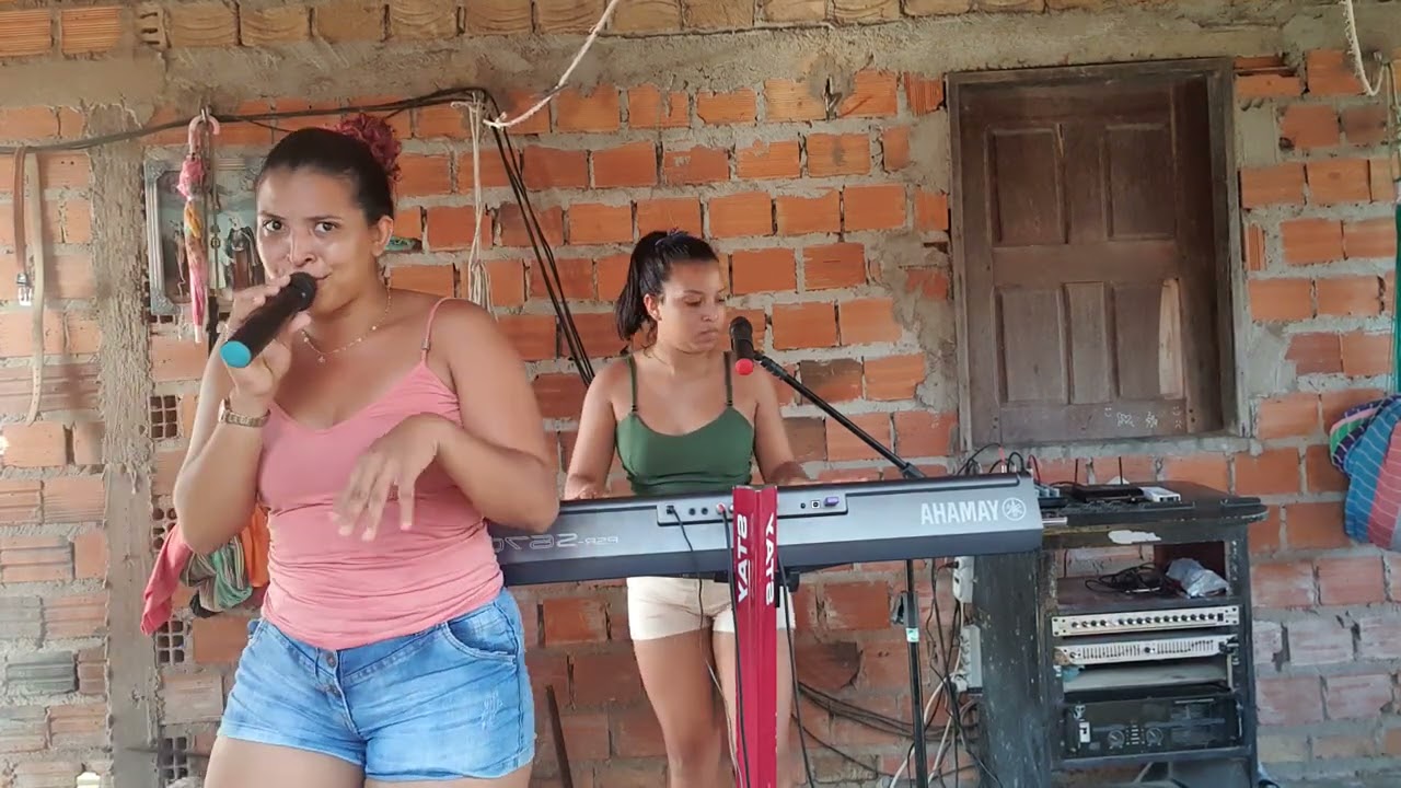 Não Pode Se Apaixonar (part. Dj Ivis e MC Danny)- Xande Avião _ Cover (Irmãs Brusaca)