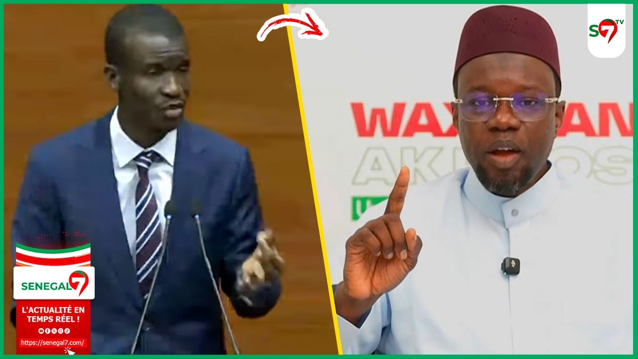 Durcissement des peines contre l'h0m0$£xu@lité: l’intégralité du discours de Me Bamba Cisse